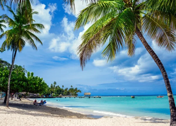 Tobago-Main-2025-1536x884