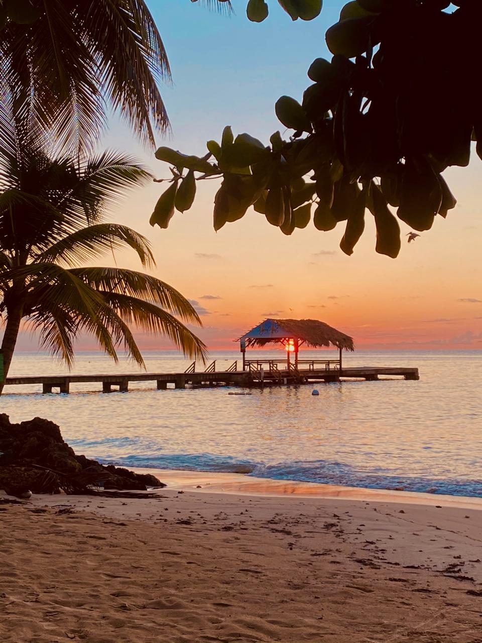 WhatsApp Image 2025-12-01 at 9.15.13 AM